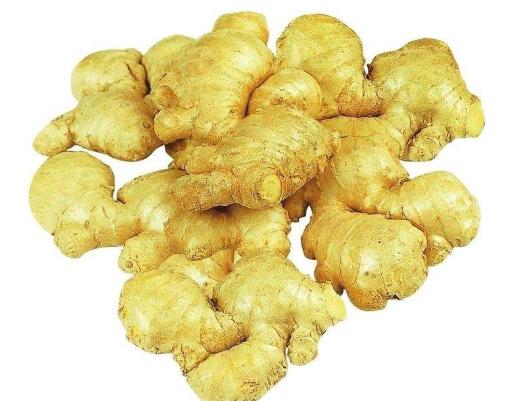 青岛特产十二道海味,青岛特产必买清单排行榜第一名