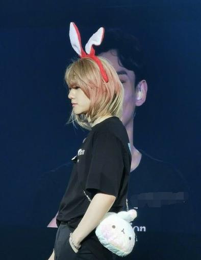 爱丽评价伯贤,爱丽认错边伯贤视频