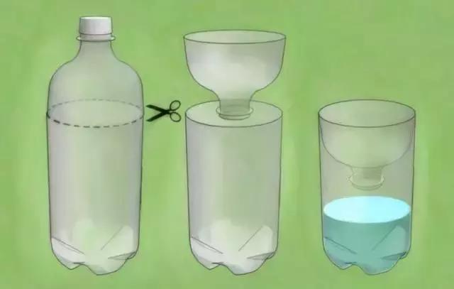 目前最有效的灭蟑螂方法,四种灭蟑螂的方法哪种更适合你