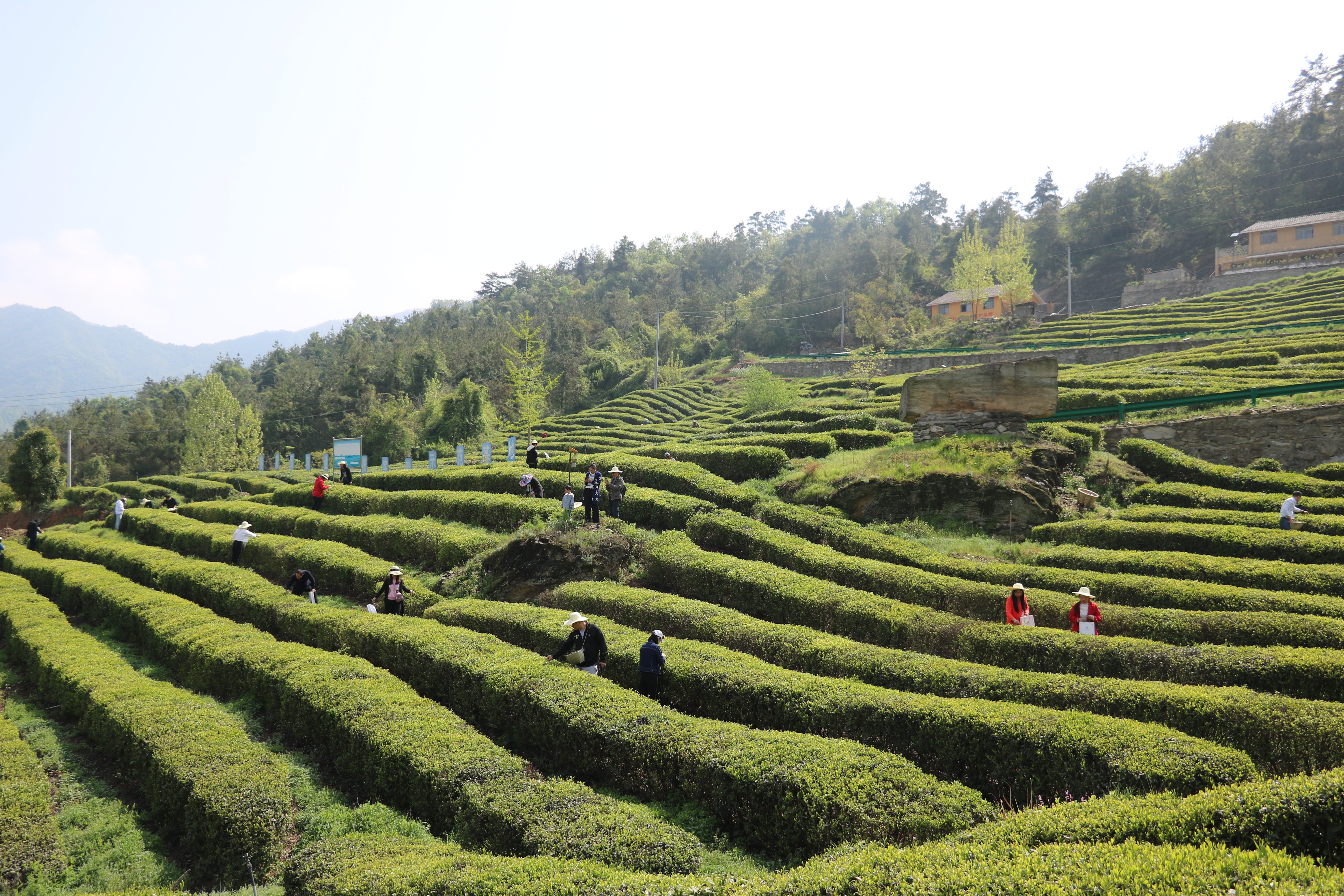 仙山秀水,仙山秀水十堰
