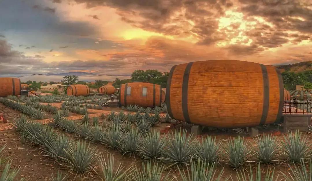 墨西哥酒桶民宿,不可错过的密室店