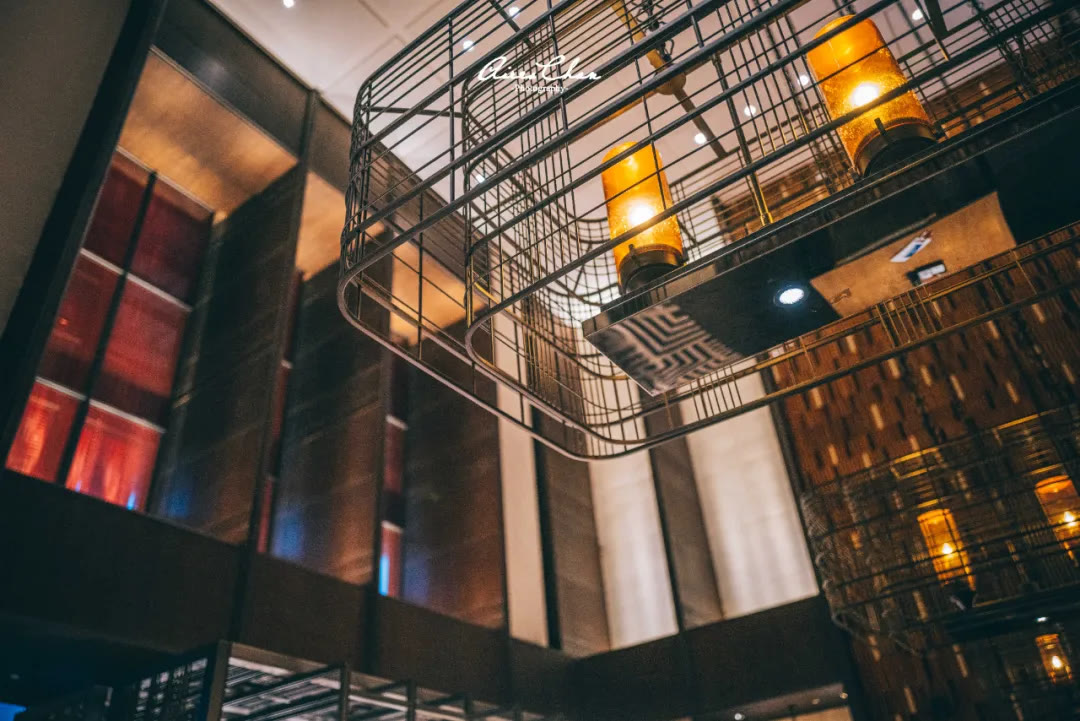 君悦茶颜悦色,长沙君悦茶颜悦色