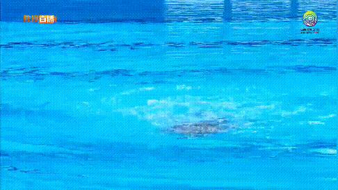 花样游泳锦标赛冠军,花样游泳世锦赛2024几块金牌