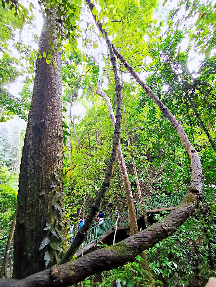 了解西双版纳的风俗和民族文化,西双版纳哈尼族特色民族文化