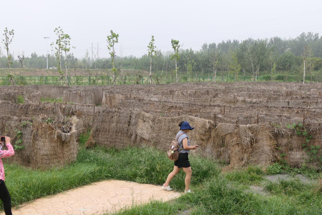 打造一个三十亩地小农庄多少钱,小农庄怎么打造