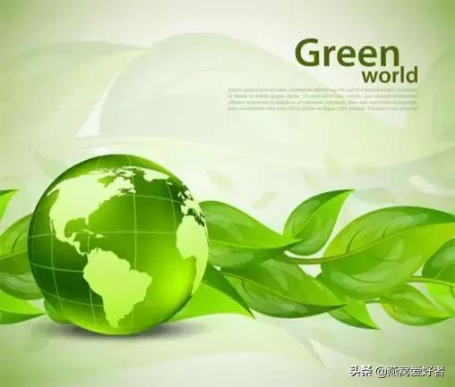 燕窝是什么东西做的,燕窝是什么意思