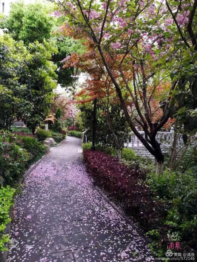 心途漫漫,心遥路漫漫的文章