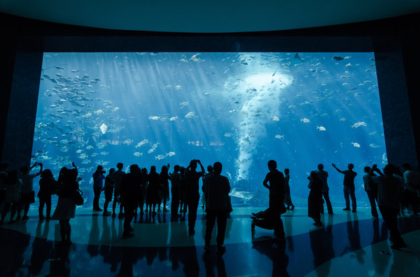 三亚度假公寓58平,三亚度假公寓两室