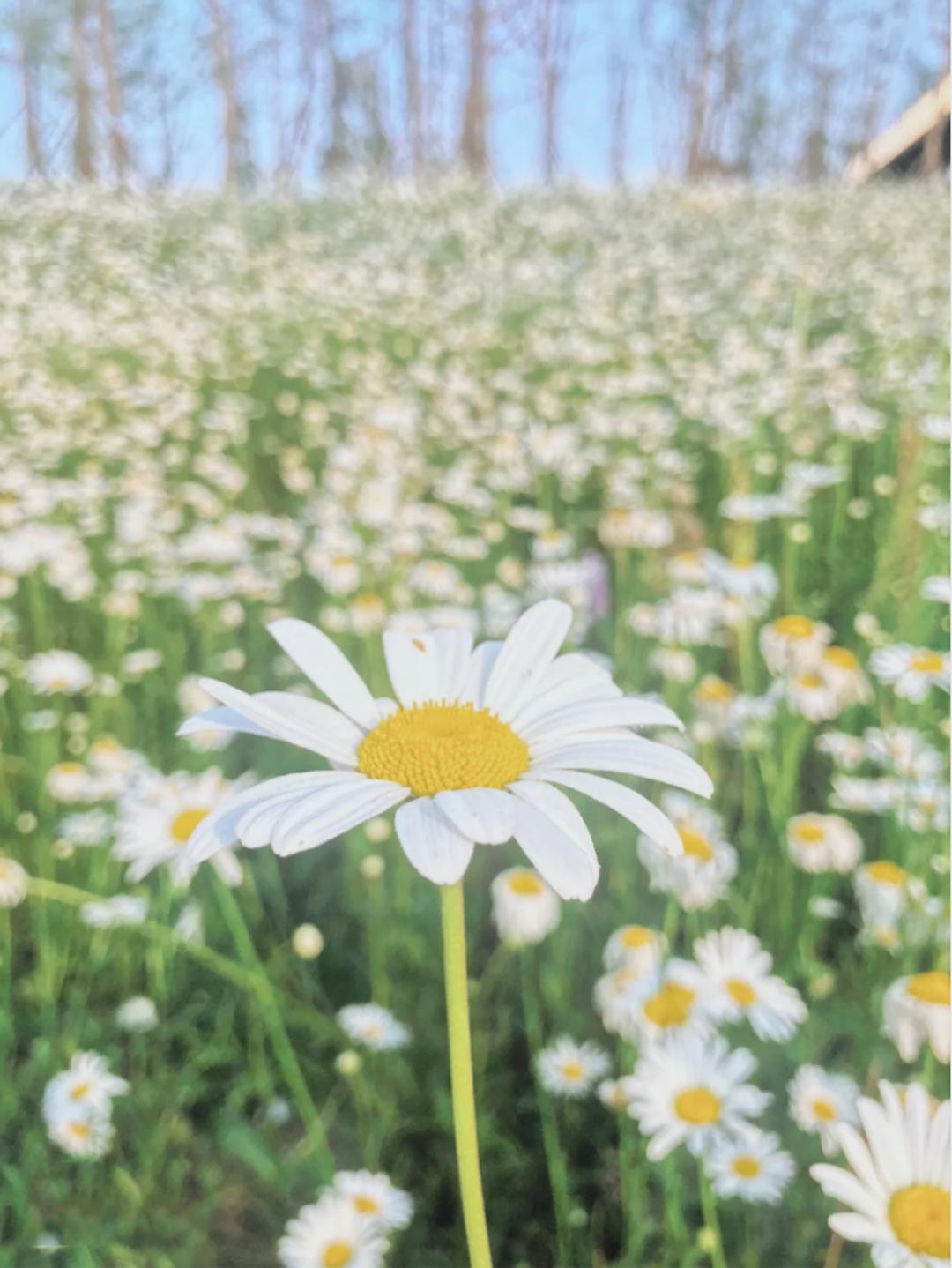 五一小众宝藏旅行地成都周边,成都旅行打卡地