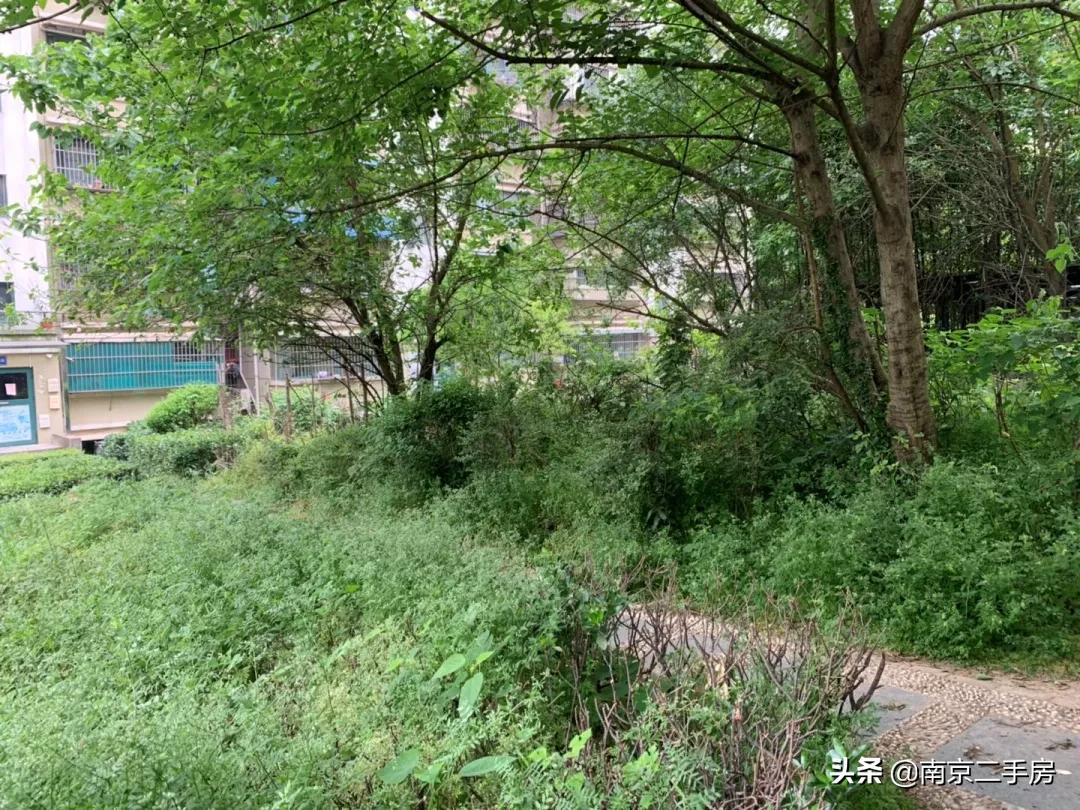 周边小区房价暴涨,垃圾遍地的小区