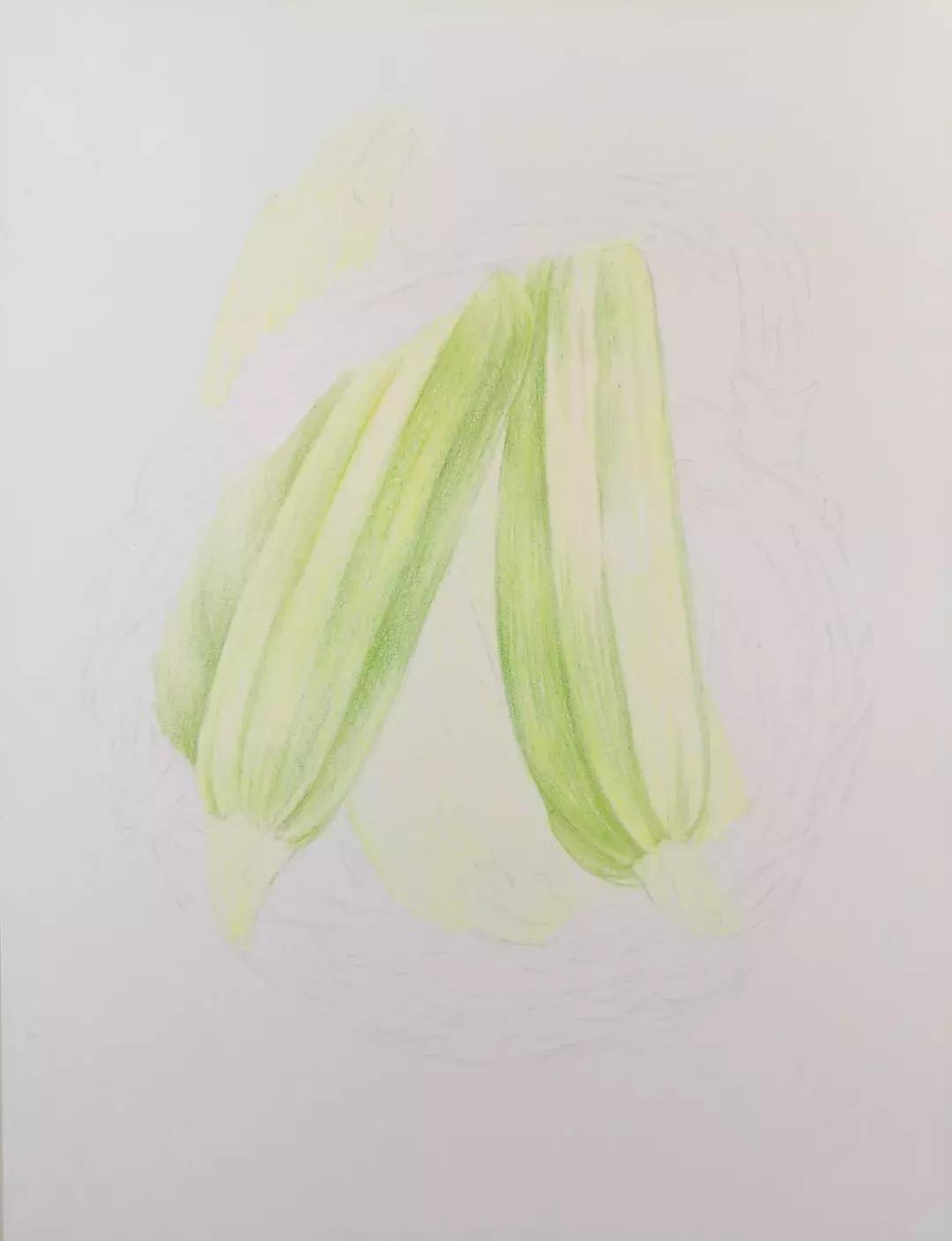 彩铅入门教学叠色,立体彩铅入门基础