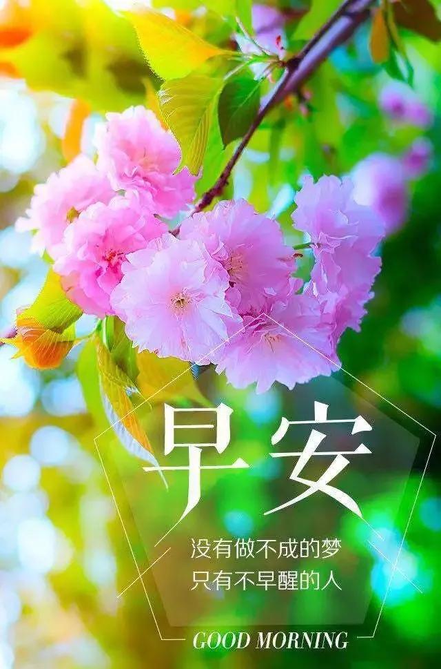 最新的早上好问候语句图片,微信早上好问候祝福语图片大全