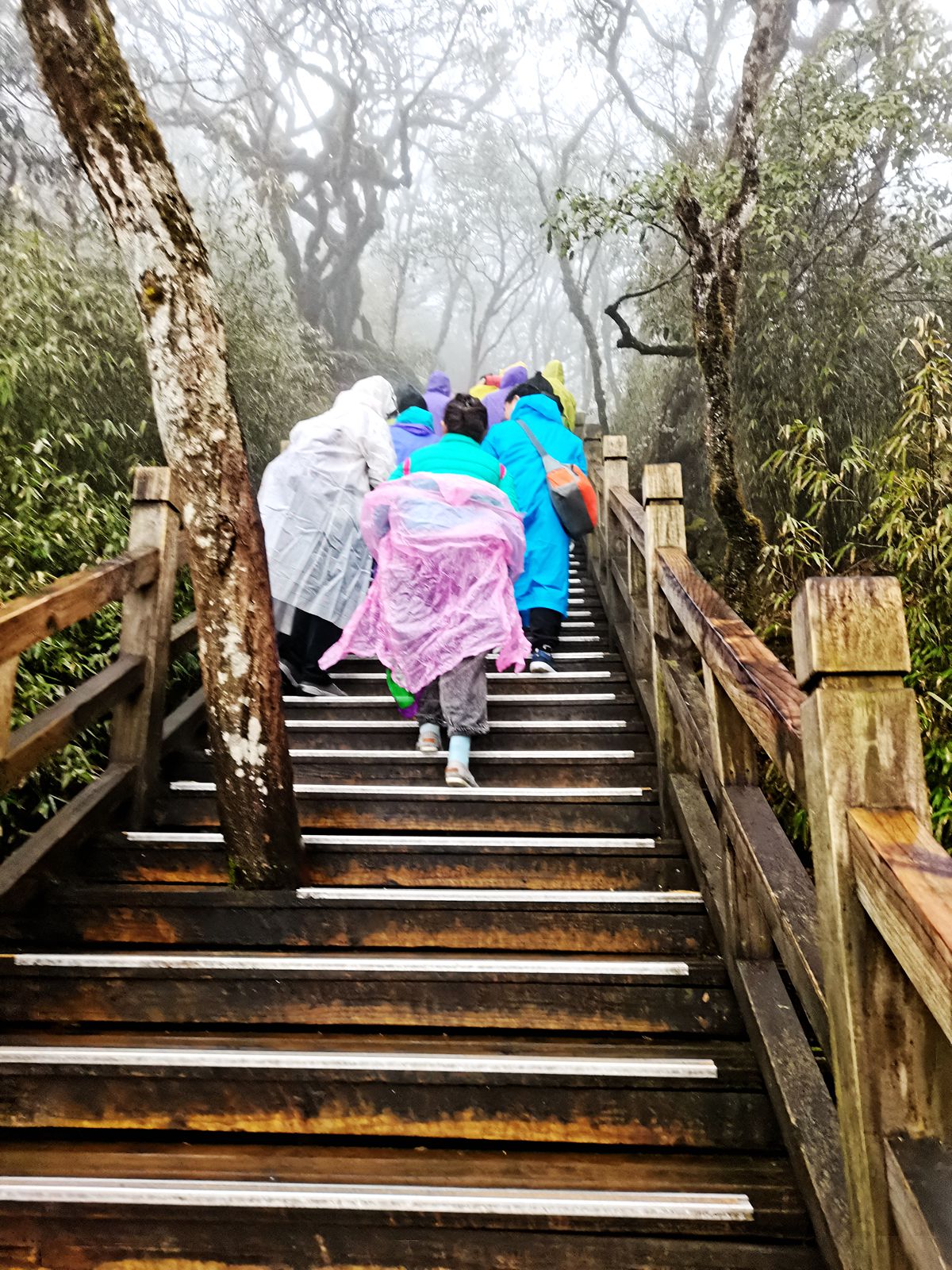 雨中的梵净山景色,烟雨梵净山