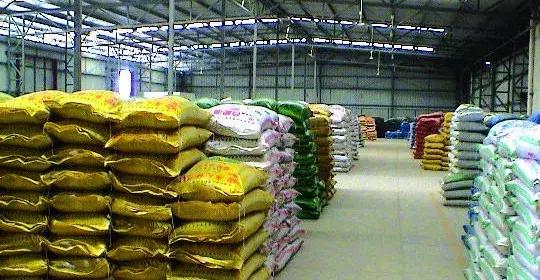 2019三农发展新闻报道,2019年三农新闻视频