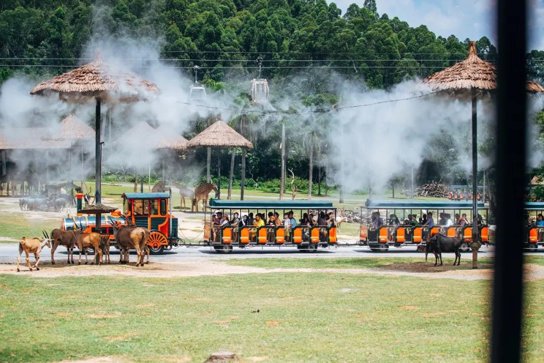 长隆飞鸟乐园怎么去长隆欢乐世界,汉溪长隆地铁站去长隆飞鸟乐园
