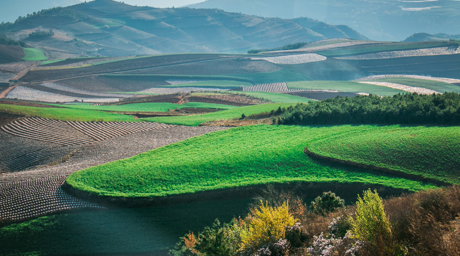 下月一来财二来福气的三大生肖,10天内3大生肖好运临头喜事登门