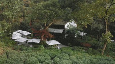 江浙沪8大五星级度假酒店任选,杭州度假高端酒店推荐