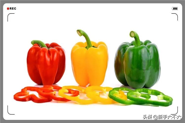 农村最赚钱的种植创业项目有哪些,当下如何在农村创业赚钱致富