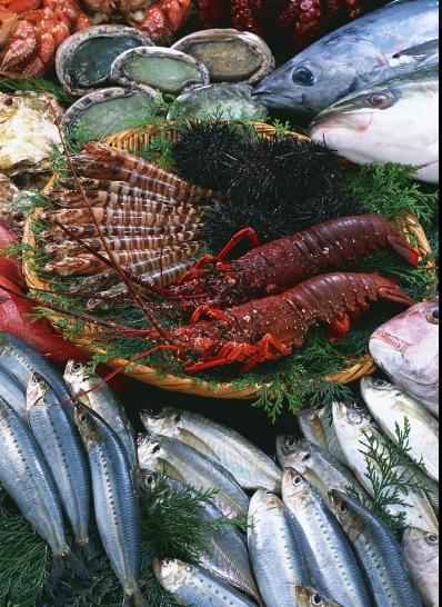 孕期牙龈肿了个肉球,孕期眼睛肿是什么原因