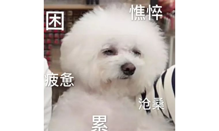 ysl人鱼姬101,ysl人鱼姬眼影液