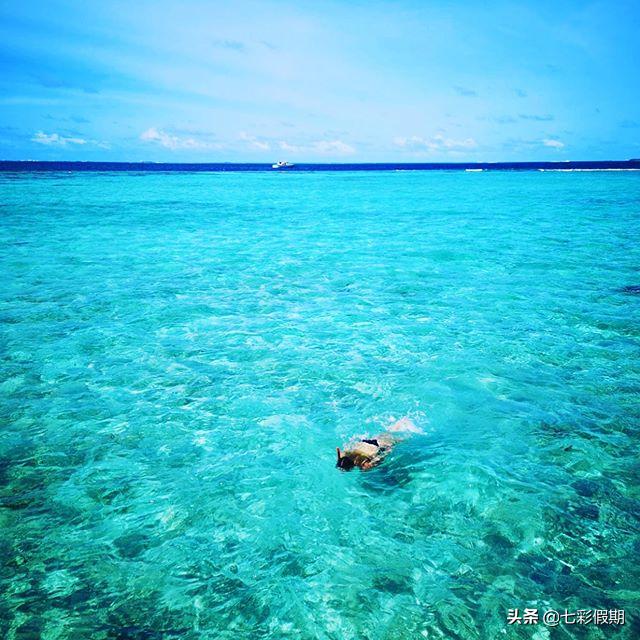 马尔代夫十大坑人岛蕉叶岛,马尔代夫神仙珊瑚岛旅游攻略