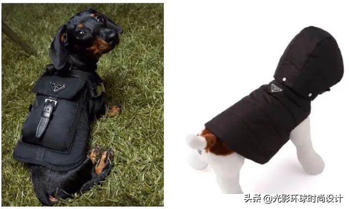 凡尔赛文学背后的秘密,凡尔赛文学大合集