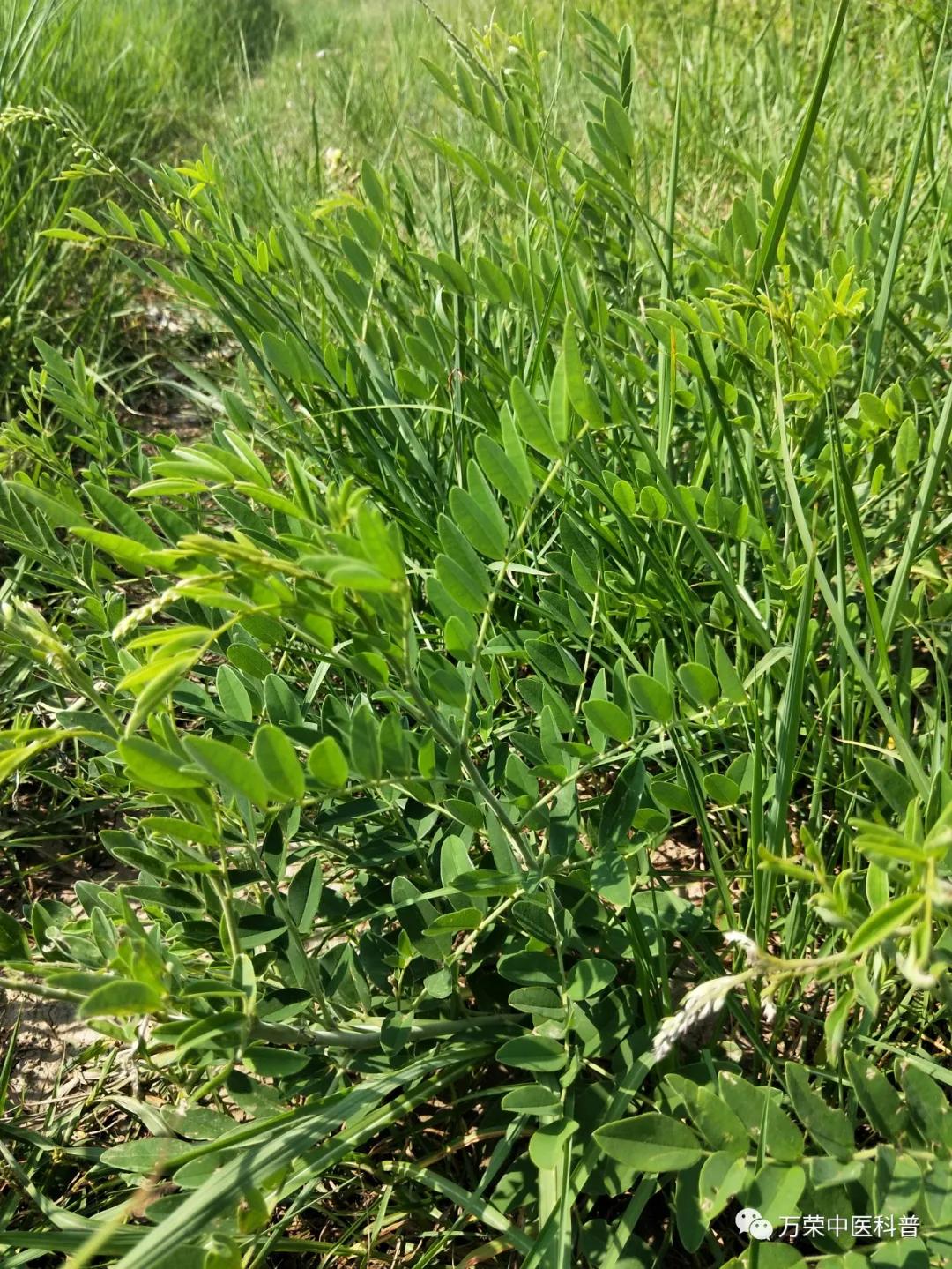 跟我回家在线免费看,跟我回家免费看