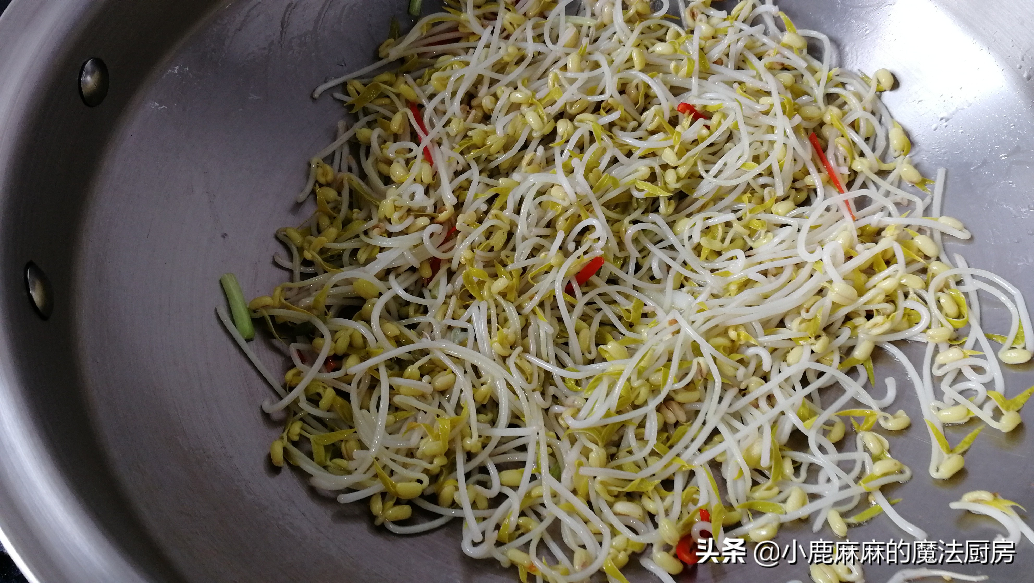 自制的豆芽怎么会苦,怎么自制豆芽不苦