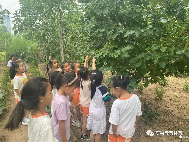 邯郸复兴区第一幼儿园环境,邯郸复兴区第一幼儿园是公立的吗