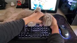 switchlite必买配件,买switch还要买什么配件