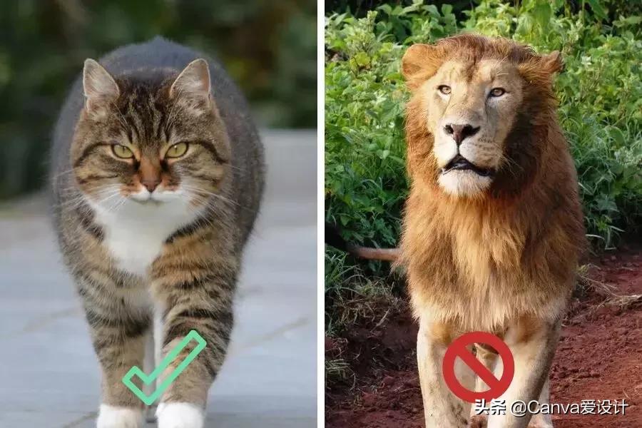 如何写简历才能更好的吸引hr,应届生如何写出一份打动hr的简历