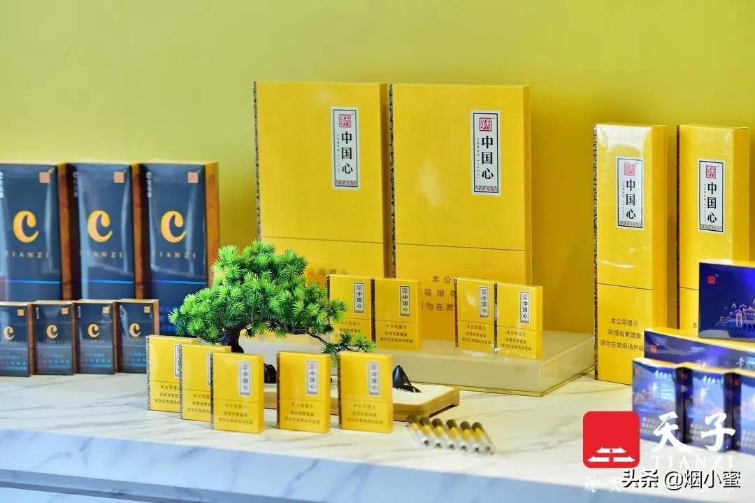 天子启新,天子发布会