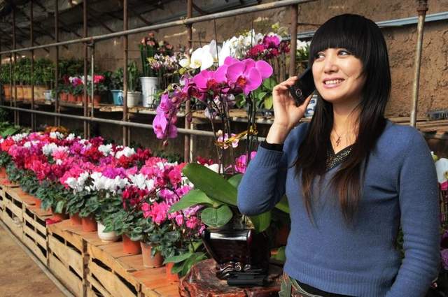 甘肃通信产业工程服务,甘肃通信工程