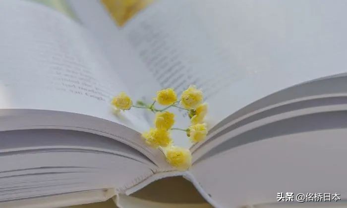 日语常用口语50句,休假口语8000句日语