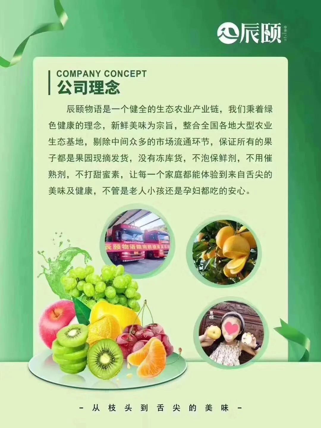 辰颐物语怎么代理一单利润多少,辰颐物语代理价格表谁有