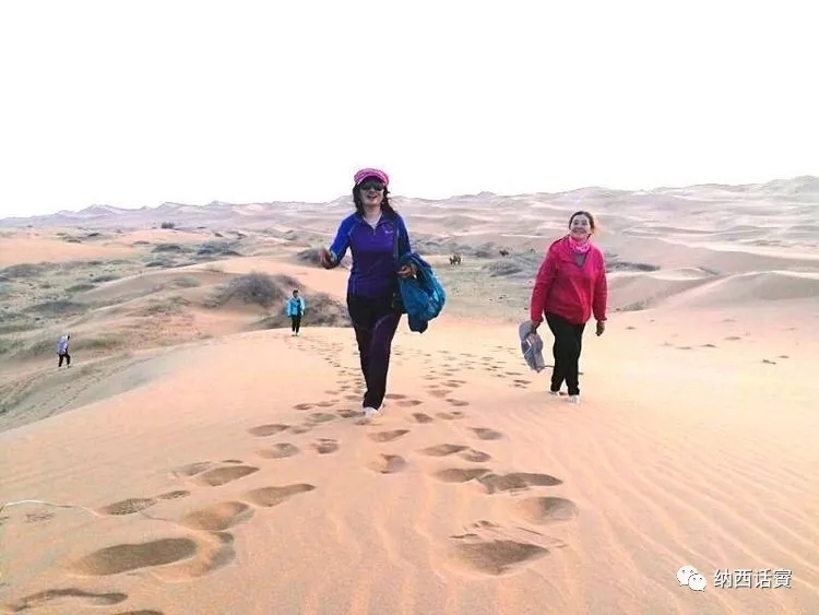 叶紫被雷劈穿越到异界,关于叶紫的穿越小说