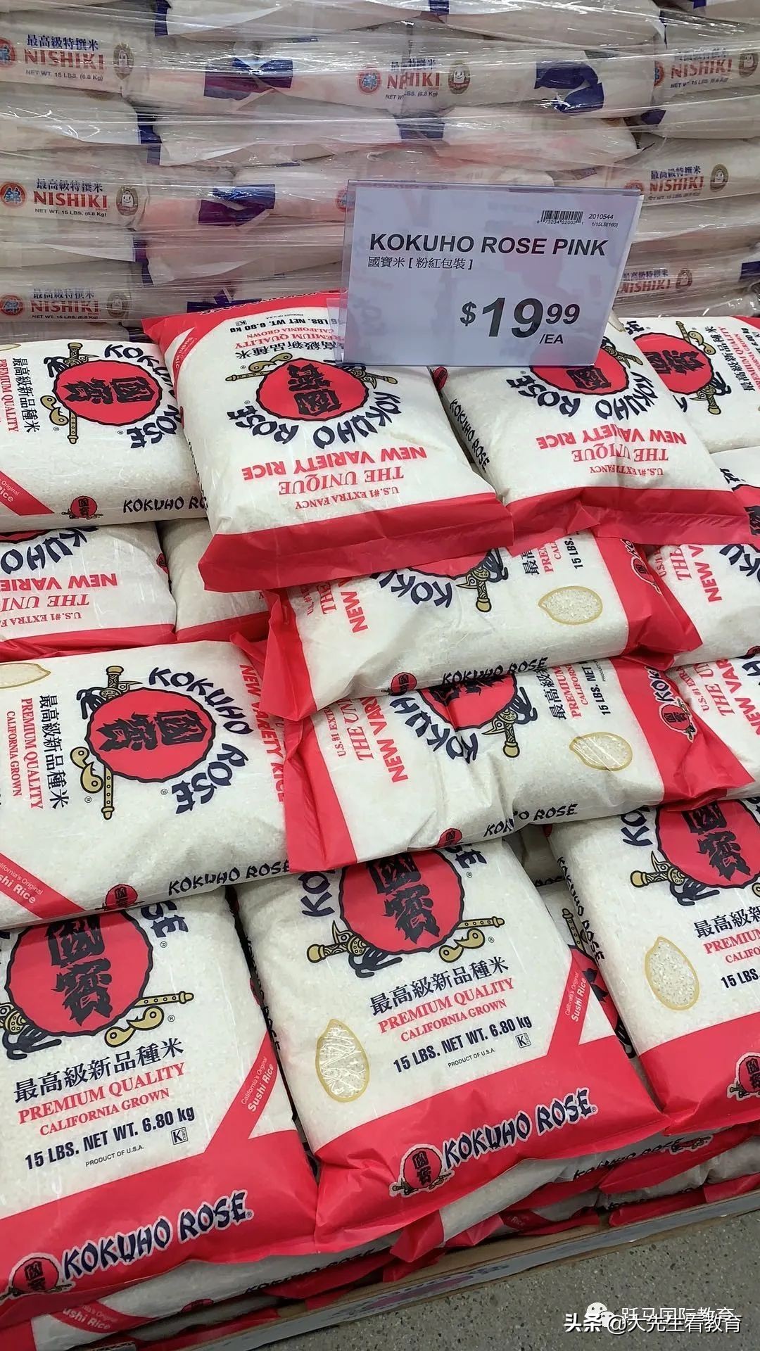 美国紧急事务最新消息,美国宣布进入国家紧急状态点评