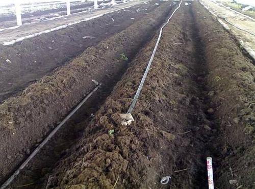 投资少见效快的养殖项目,投资小见效快的养殖好项目赚钱