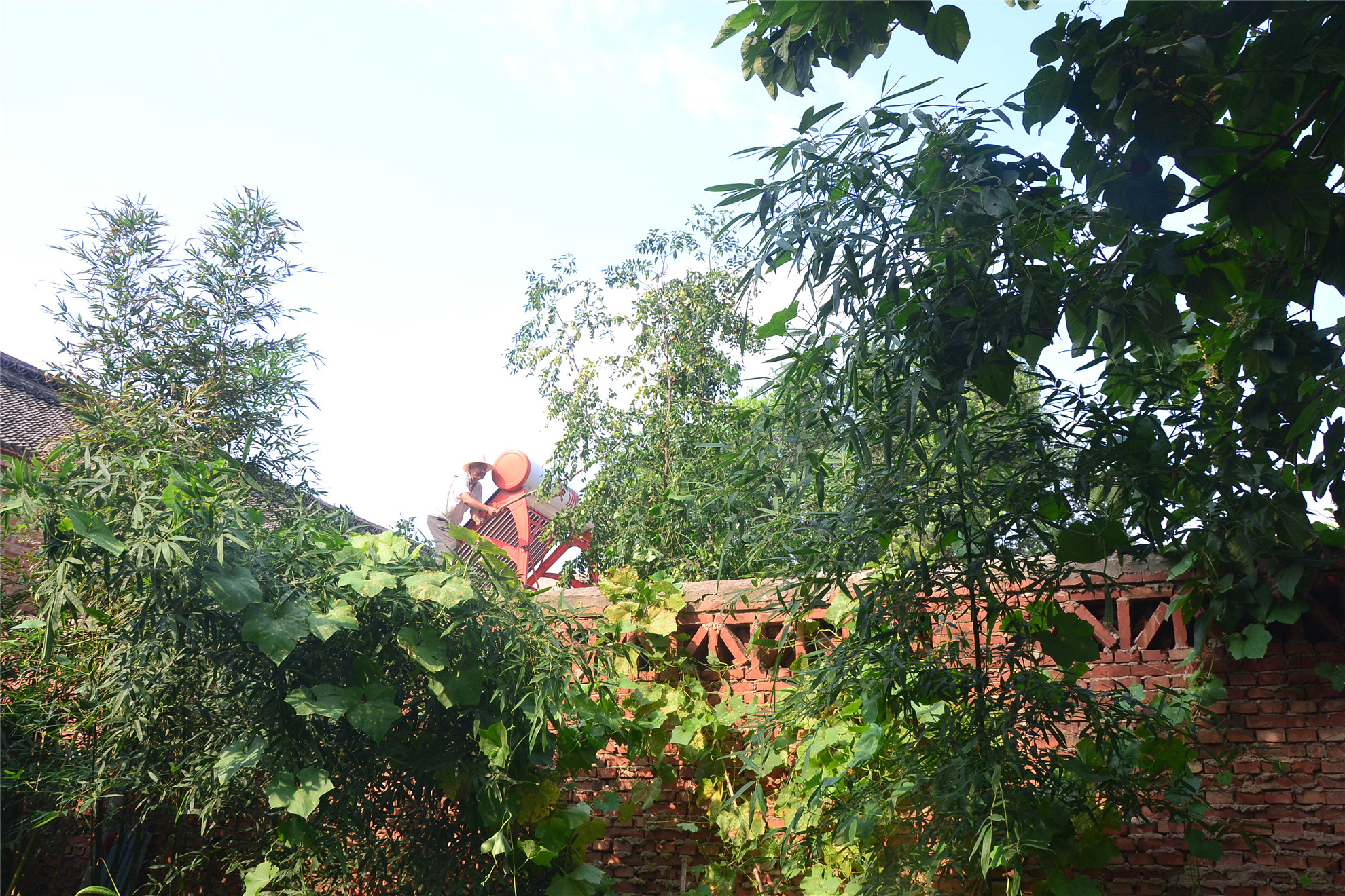 农村人创业的真实经历图片,80后农民创业记录