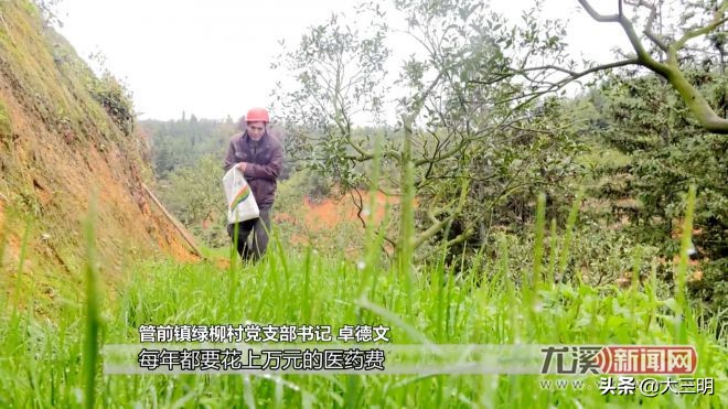 小康来敲门生态养羊,小康来敲门脱贫