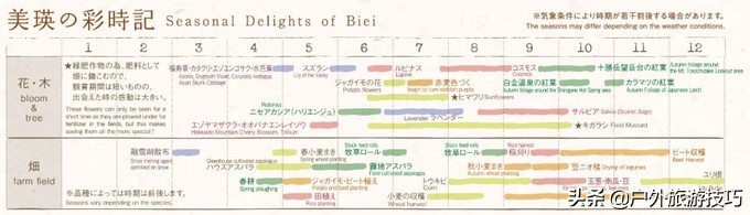 日本北海道富良野骑行攻略，试过在花田、花海中骑行吗？