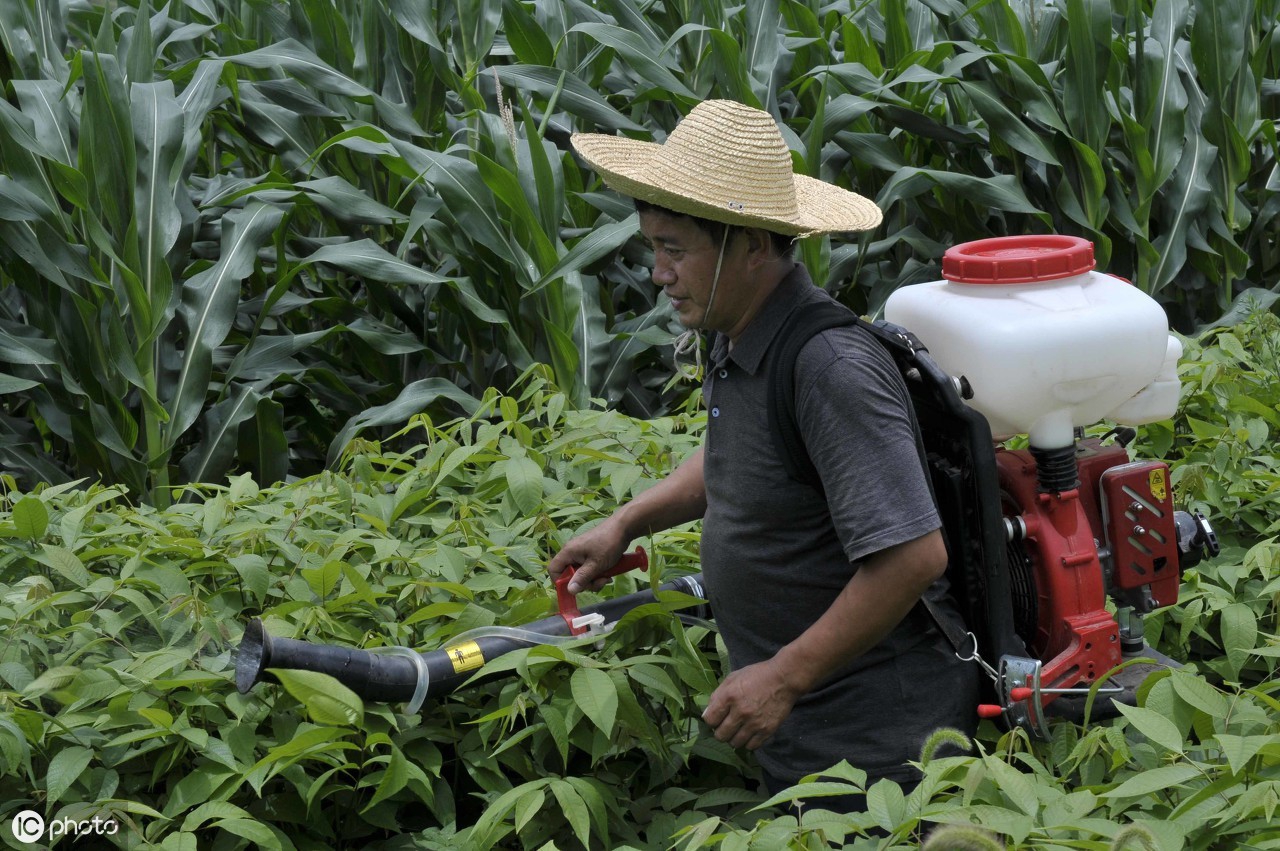 杀菌剂防治病害的原理有哪些,十种常用杀菌剂有哪些