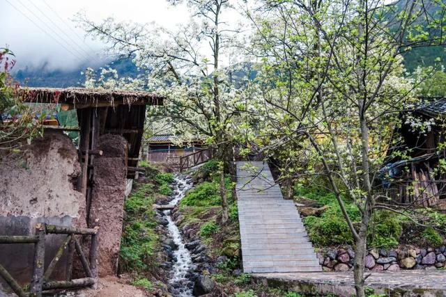 红了！黑竹沟迎颜值巅峰快去穿越五彩童话世界