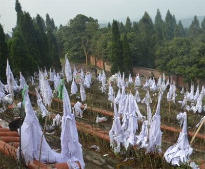 插柳枝是清明节的习俗吗,清明节的习俗有哪些全部