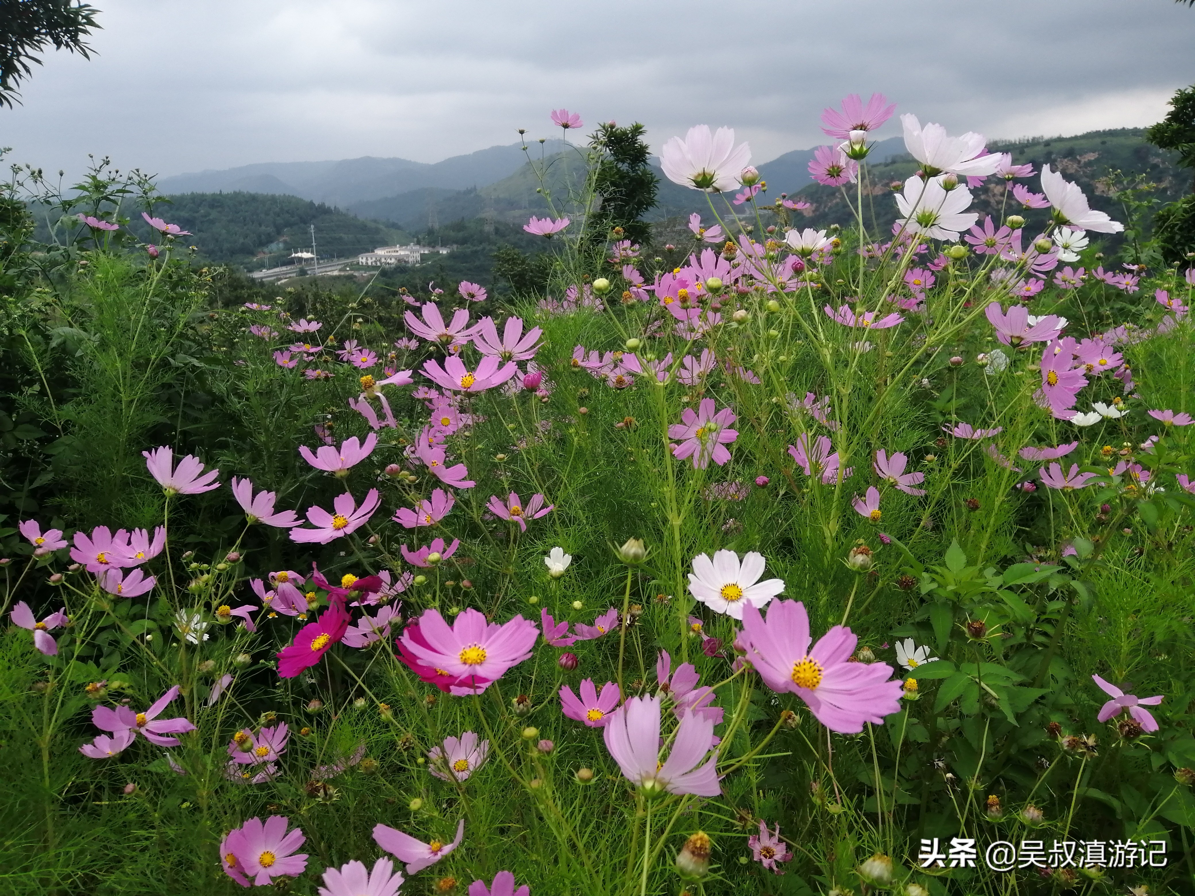 寻找石盆寺没有意外发现，却有别样风景和独特经历，真值了