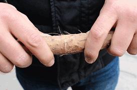 削完山药手痒怎么办？记住这三招，下次再吃山药主动来削