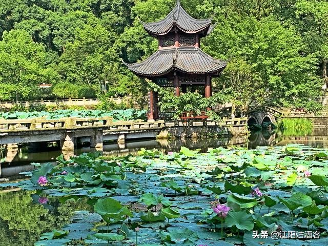 民国泸州那些私家花园，为什么甩今天当地的别墅几条街？