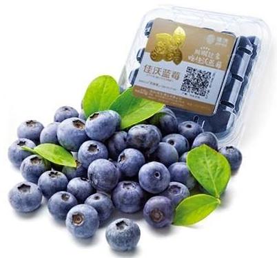 农业品牌化与农业现代化的关系,农业品牌化现状及未来发展思路