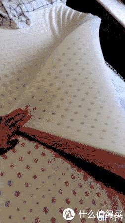 马来西亚乳胶值得买吗,马来西亚乳胶