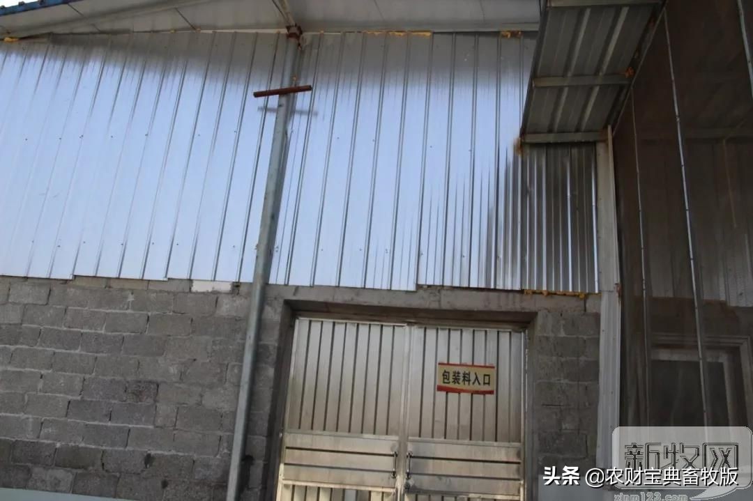 买猪肉看过来,猪场买猪全过程